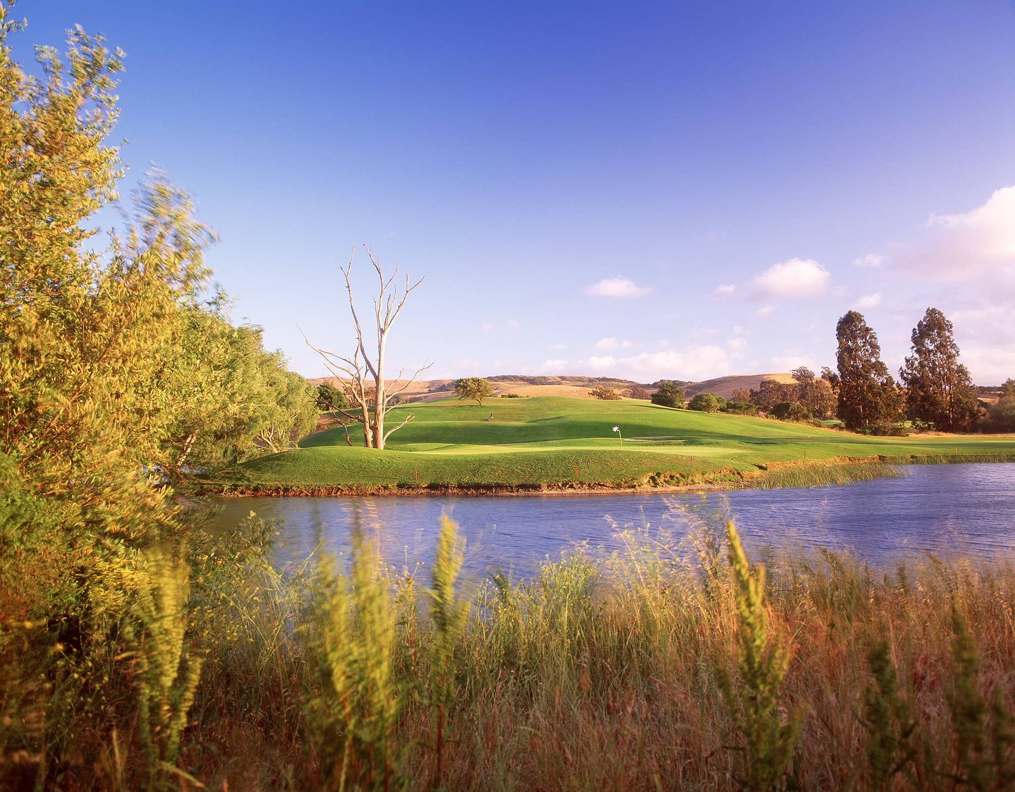 Events for March 14, 2025 – La Purisima Golf Course – Lompoc, CA